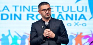 florin manole apeluri democratie