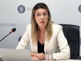 Romania Decizie Majora Cazul Pericole Publice Ignorate Ani Zile