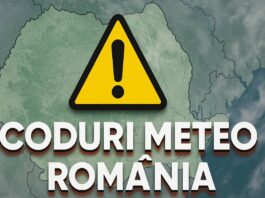 coduri nowcasting anm meteo romania 23 noiembrie 2025