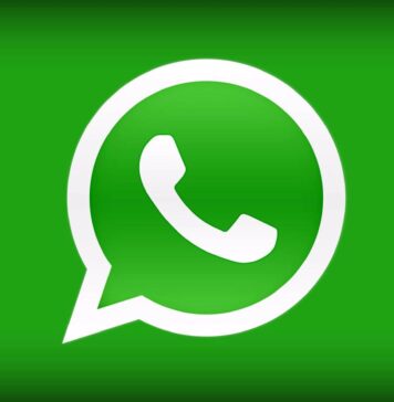 whatsapp info chat