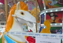 ANPC a Veriricat Targurile de Craciun, a Dat Amenzi pe Masura anpc targuri craciun amenzi