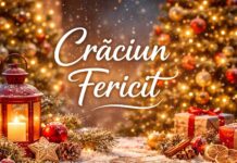 craciun fericit idevice.ro 2025