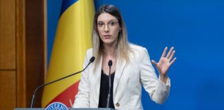 diana buzoianu criza apei paltinu