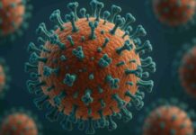 INSP Trage un Semnal de ALARMA privind un Nou Virus Gripal care Circula in Romania insp virus gripal ah3n2 subclada k