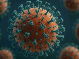 insp virus gripal ah3n2 subclada k