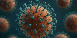 insp virus gripal ah3n2 subclada k