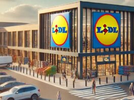 lidl romania an nou 2026, craciun 2025 program magazine