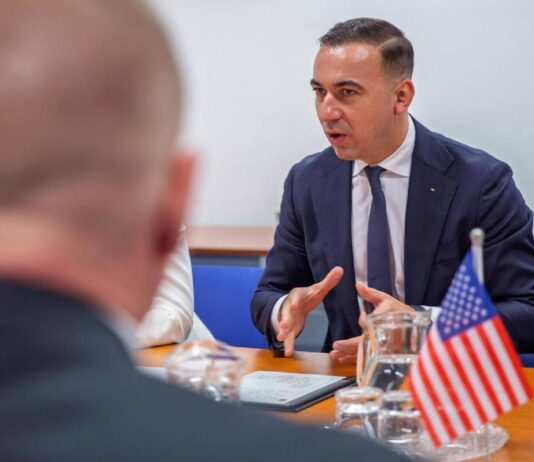 ministrul energiei romania sua pamanturi rare