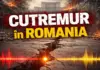 Cutremur in Romania in Zona Seismica Vrancea, Detaliile publicate de INCDFP Cutremur in Romania in Zona Seismica Vrancea, Detaliile publicate de INCDFP