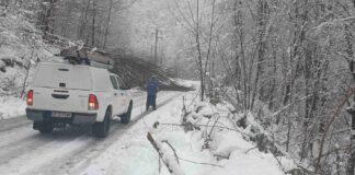 PPC energy viscol intrerupere curent