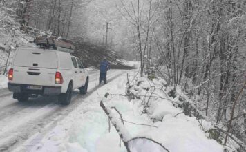 PPC Energy, lupta contra viscolului. Zeci de localitati in alerta, mii de clienti asteapta curentul inapoi PPC energy viscol intrerupere curent