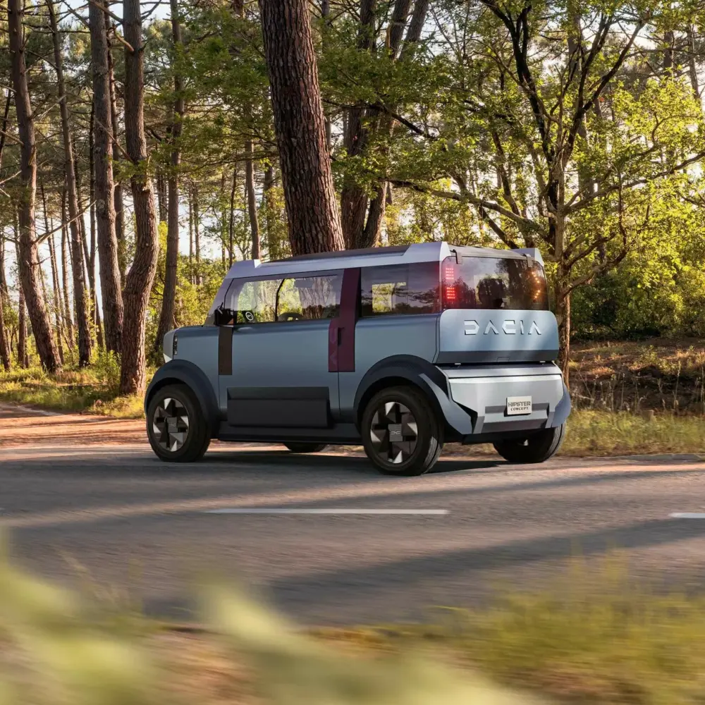 DACIA Hipster in natura DACIA Hipster in natura