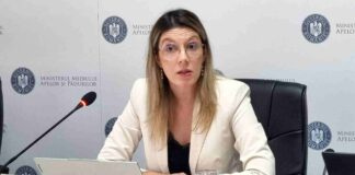Diana Buzoianu, strategie nationala 2030