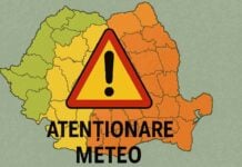 Informare Meteorologica ANM cu o Atentionare de Vant Emisa Oficial pentru Romania pe 22 Martie 2026