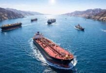 IRAN Permite Tranzitul unor Nave prin Strâmtoarea Hormuz, Câți Bani ar Cere per Transport