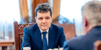 Nicusor Dan, Presedintele Romaniei, Ocde