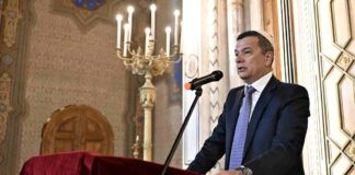 Sorin Grindeanu, Presedintele Psd