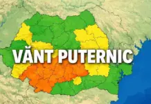 Alertă Nowcasting de VÂNT Puternic Emisă de Administrația Națională de Meteorologie pe 23 Aprilie 2026 în România
