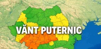 Cod Galben Meteorologic ANM pentru Vânt Puternic Emis în România pe 14 Aprilie 2026