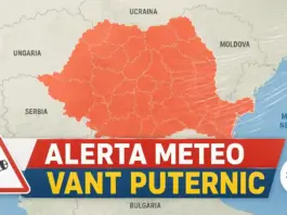 Cod PORTOCALIU Meteo de Ultimă Oră pentru Vânt Puternic Emis de Administrația Națională de Meteorologie în România pe 23 Aprilie 2026
