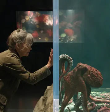 netflix creaturi remarcabile