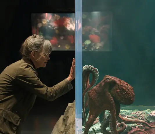 netflix creaturi remarcabile