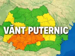 Codul GALBEN Vânt Puternic ATENȚIONĂRILE Meteo ale Administrației Naționale de Meteorologie 19 Mai 2026 în România