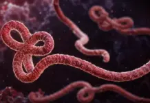 EBOLA: Decizia de URGENȚĂ a Comisiei Europene din cauza Focarului Îngrijorător Descoperit de OMS EBOLA comisia europeana urgenta oms