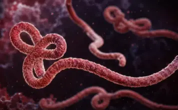 EBOLA: Decizia de URGENȚĂ a Comisiei Europene din cauza Focarului Îngrijorător Descoperit de OMS EBOLA comisia europeana urgenta oms