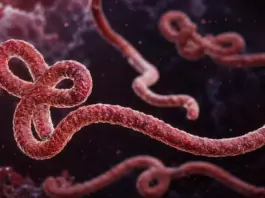EBOLA focar OMS urgență