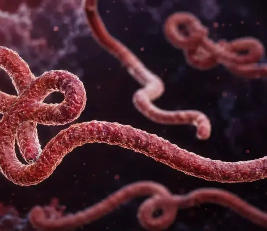 EBOLA focar OMS urgență