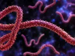 EBOLA focar grav OMS