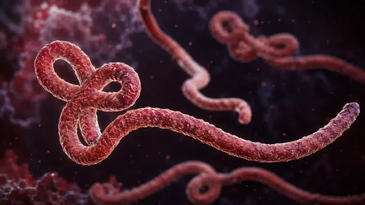 EBOLA urgenta ONU apel OMS EBOLA urgenta ONU apel OMS