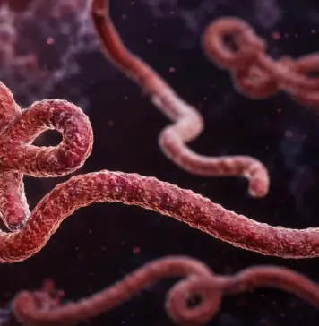 EBOLA: Apelul de URGENȚĂ al ONU după Anunțurile Îngrijorătoare ale OMS EBOLA urgenta ONU apel OMS