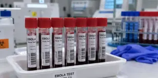 Ebola oms risc ridicat