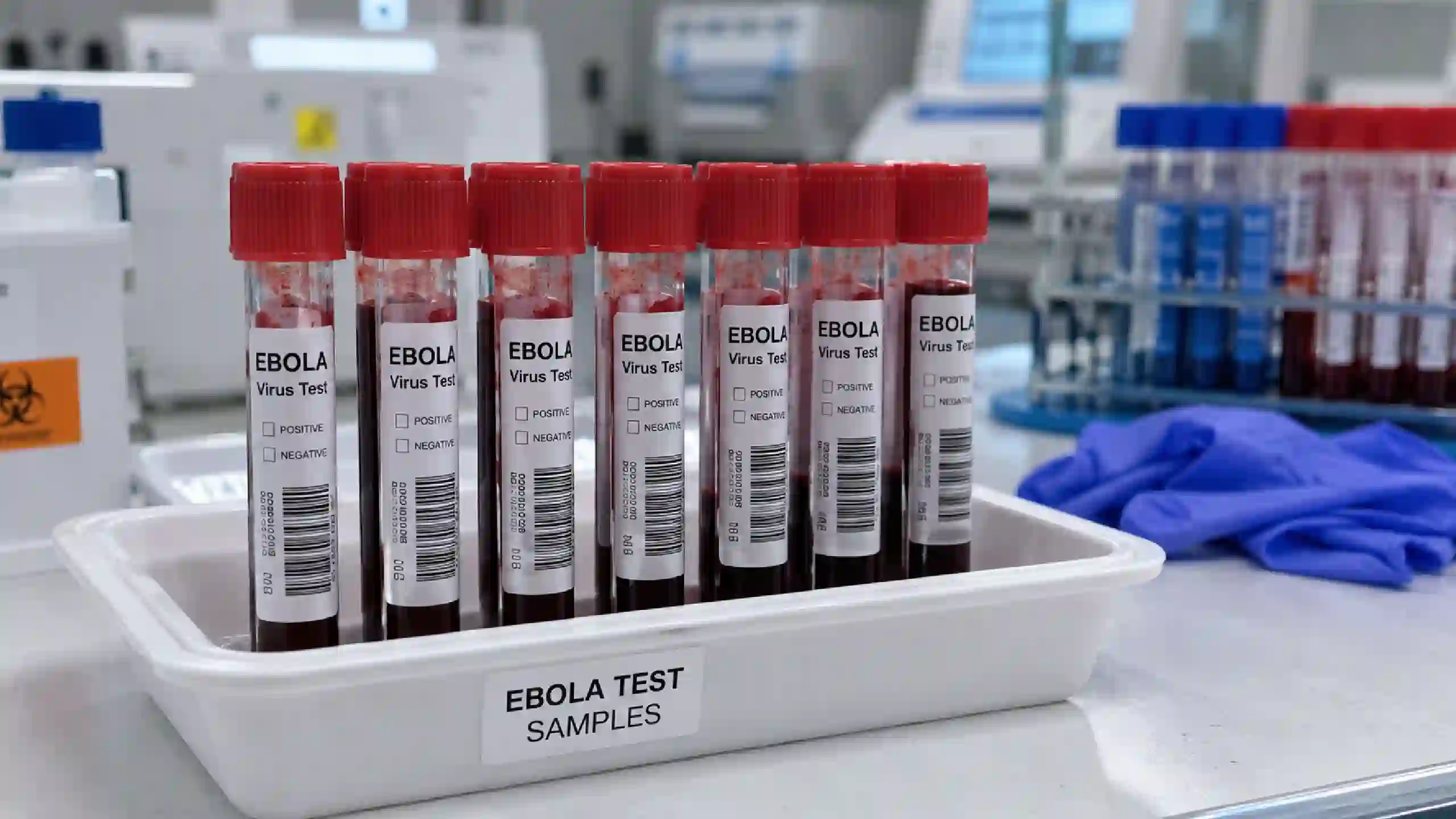Ebola oms risc ridicat | iDevice.ro Ebola oms risc ridicat