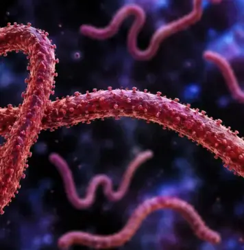 Ebola raport oms ecdc riscuri