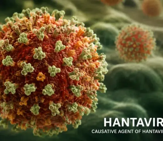Hantavirus Anunțul Oficial al OMS privind ÎNGRIJORĂRILE a Milioane dintre Europeni