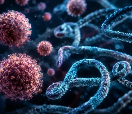 Hantavirus Ebola oms