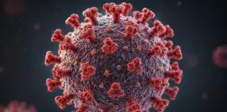Hantavirus decese oms infectari