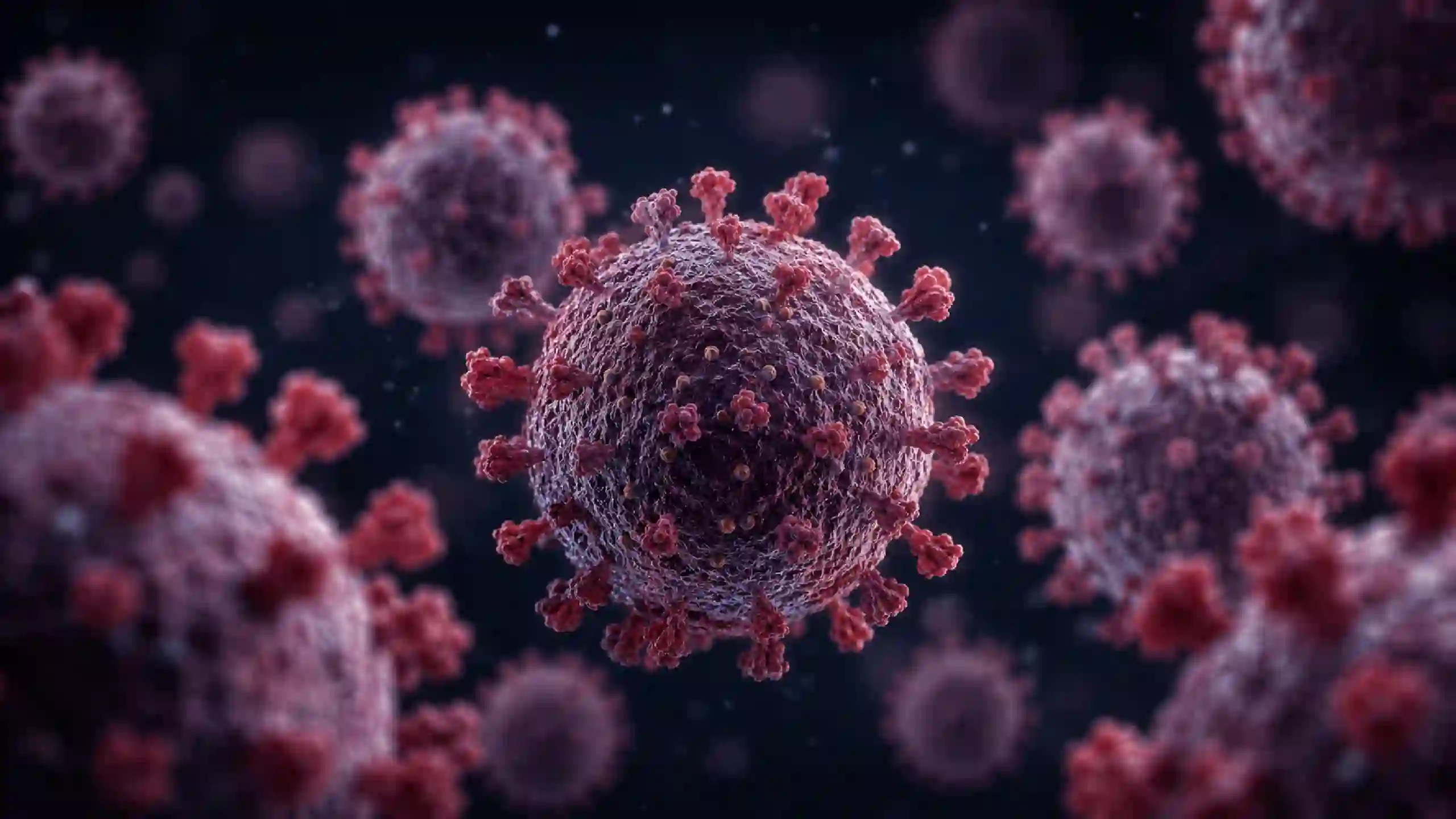 Hantavirus ecdc europa | iDevice.ro Hantavirus ecdc europa