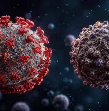 Hantavirus Fortează Europa să ia Măsuri de Ultimă Oră în Fața Îngrijorărilor privind Răspândirea Hantavirus europa masuri infectari