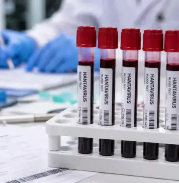 Hantavirus: Crește Numărul Infectărilor de pe MV Hondius, Anunt de Ultimă ORĂ al OMS Privind Situația Globală Hantavirus olanda infectare