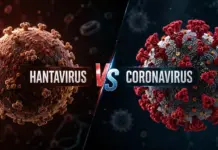 Hantavirus rani pandemie coronavirus