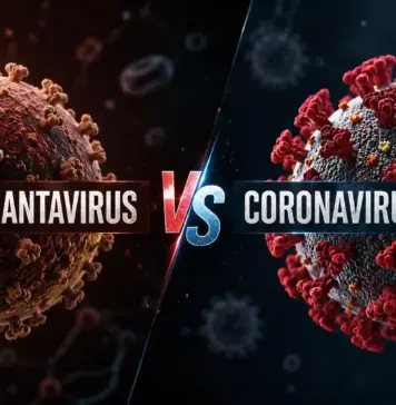 Hantavirus Arată că Pandemia Coronavirus a Creat RĂNI Adânci pentru Mulți Oameni Hantavirus rani pandemie coronavirus