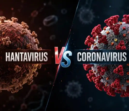 Hantavirus rani pandemie coronavirus