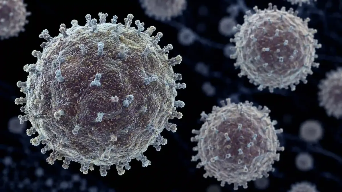 Hantavirus riscuri oms Hantavirus riscuri oms