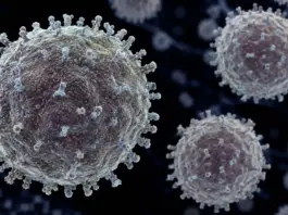 Hantavirus riscuri oms