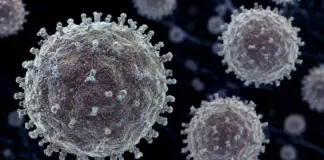 Hantavirus riscuri oms