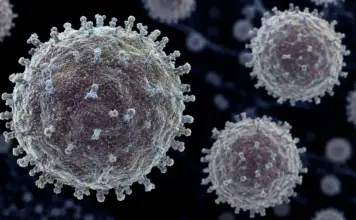 HANTAVIRUS: Decizia OMS privind Riscurile pentru Întreaga Lume, Înaintea Adunării Generale Hantavirus riscuri oms